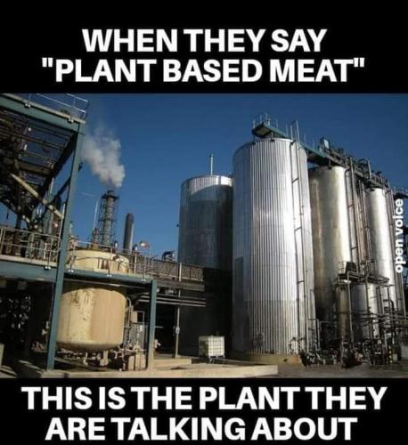 FB_IMG_1673286972660