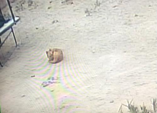 72E380AB-EAFA-4C48-9006-5D1B902AAB13