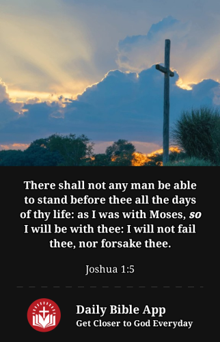 2023-01-161673920338604