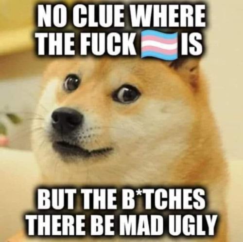 Gender 2