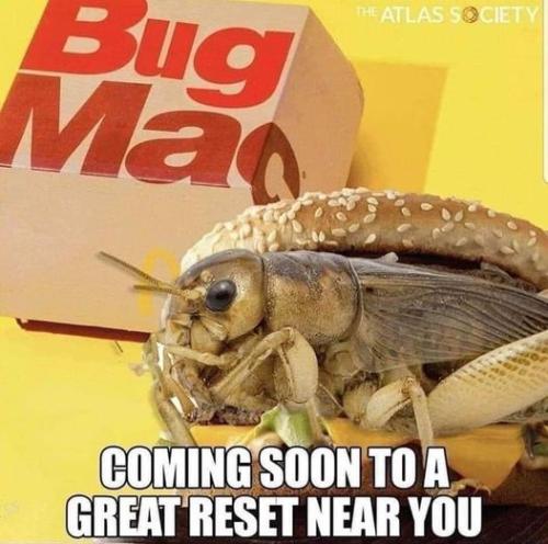bug mac