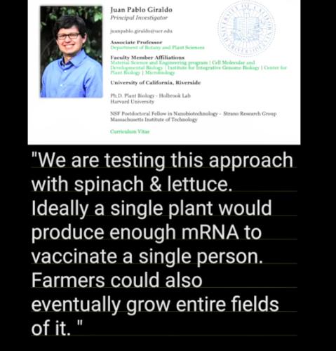 18:58:06 GMT-0500 (EST)