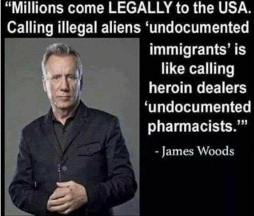 illegals m