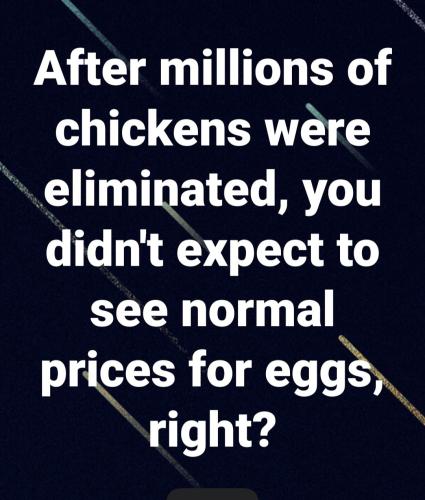 10:19:35 GMT-0500 (EST)