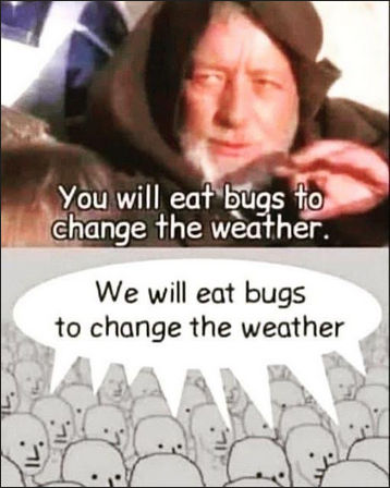 sheeple67