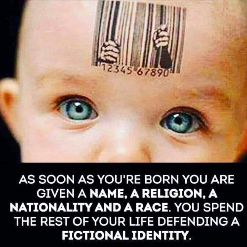 6eb2b969-df02-48c9-b35f-aae49693ef47