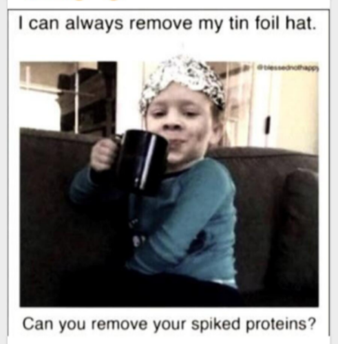 tin_foil_hat_spiked_protein_JAB_BS