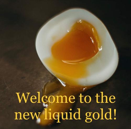 FB_IMG_1674740628209