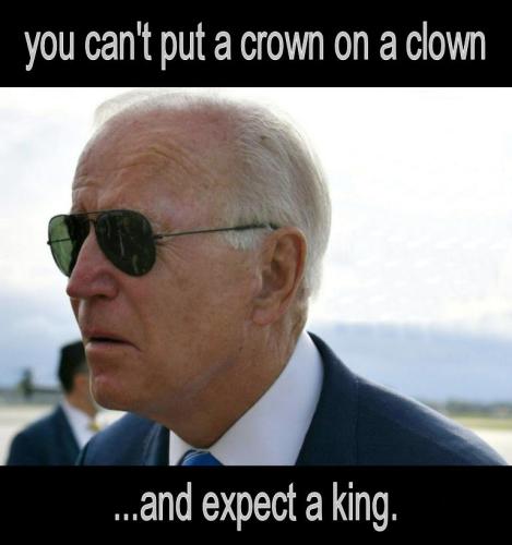 biden1183