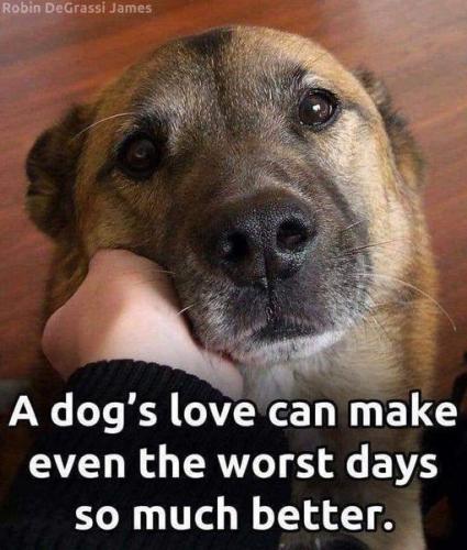 322158763_1285757175322224_5739655468927880874_n