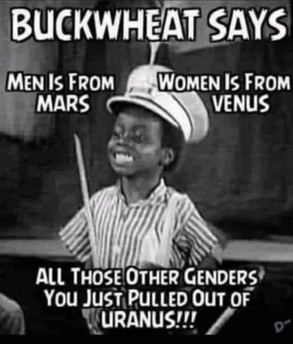 Screenshot_20230128_132613_Quora