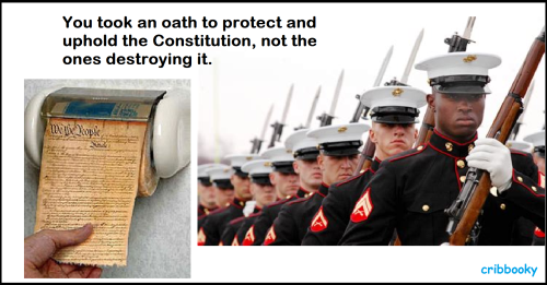 oath2protect_constitution