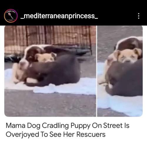 17:59:32 GMT-0500 (EST)