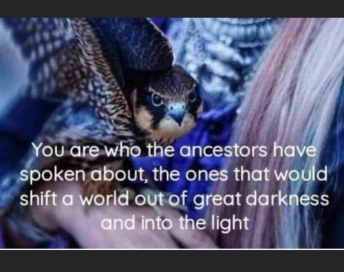 07:29:03 GMT+1300 (New Zealand Daylight Time).image