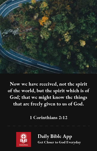 2023-01-081673228189411