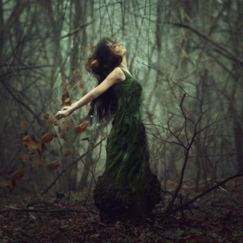 tumblr_b79cff35a16889cc3204b7166980a66b_b66ca81b_640