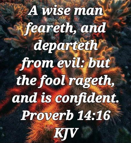 20:03:25 GMT-0800 (PST)