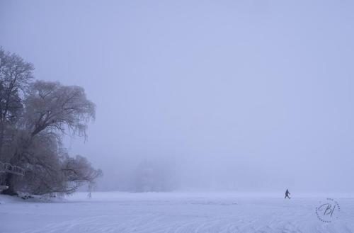 EF990E68-C925-45BA-9463-9EE04064C81A