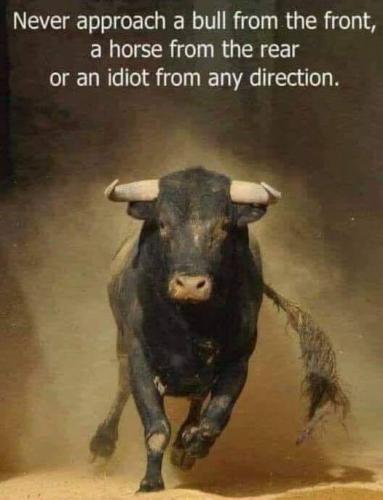 324246493_5748428328580650_1576735489974541937_n