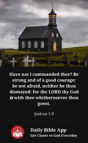 2023-01-161673920367979