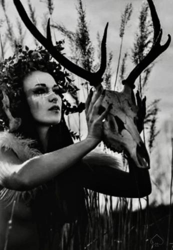 tumblr_2ef2f8eb257f09cc6ed0ca3193411495_b42ebd38_540