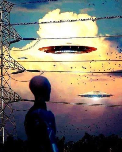 ,                                                                                                                                                                                                                          0 1