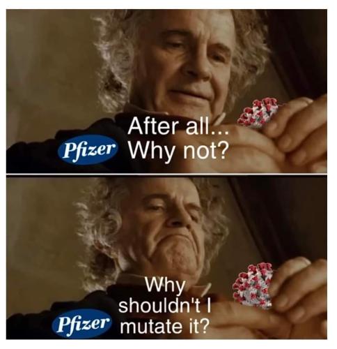 FB_IMG_1675094215818