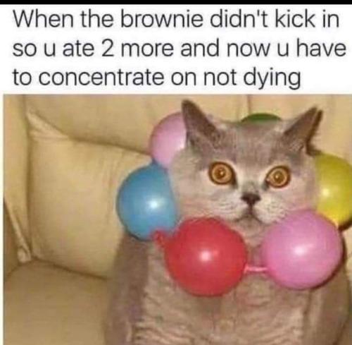 FB_IMG_1673891656736