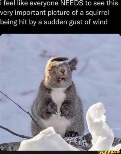 af4f5d55-9c30-4884-b28d-600a123a2ad0