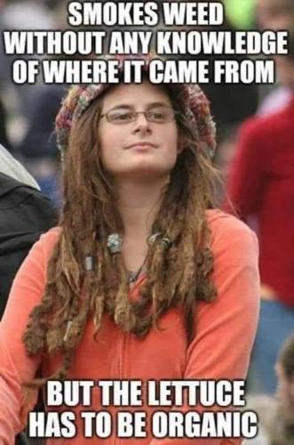 51b5134e-ad43-4e91-828f-c904b366d693