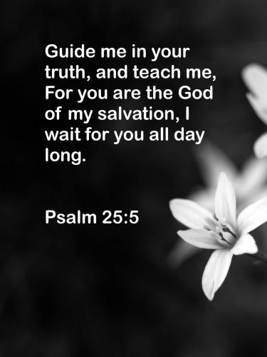 14:05:02 GMT-0500 (EST)