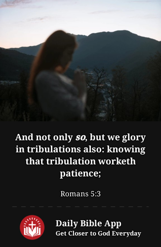 2023-01-231674529757729