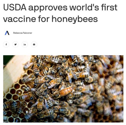 IMG_20230131_230731_295