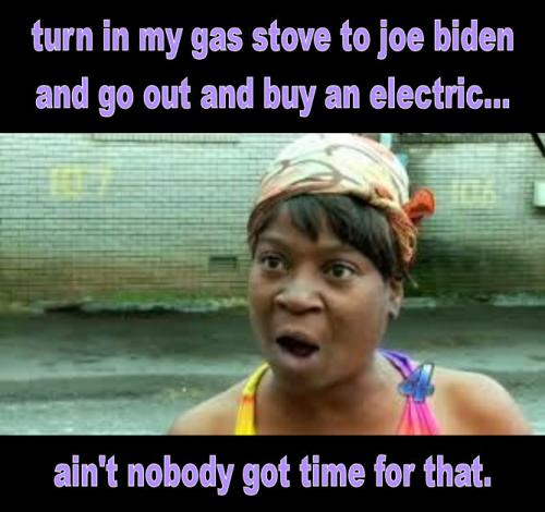 gas stoves19