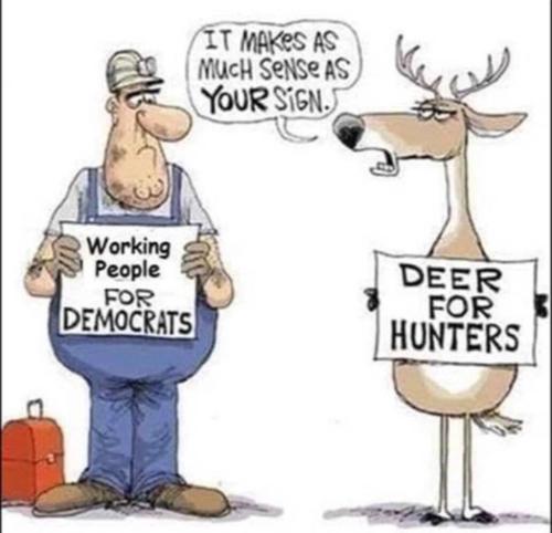 deer truth