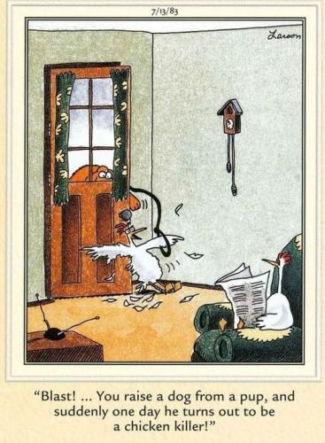 321954966_483522963932860_5585636207889446873_n