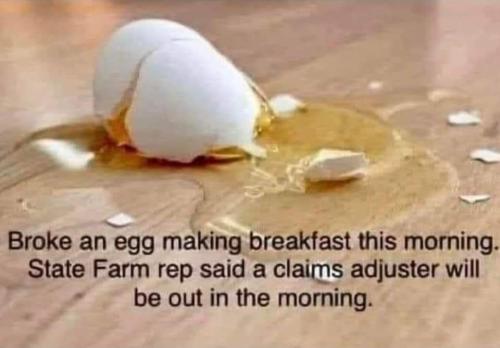 FB_IMG_1674873157294