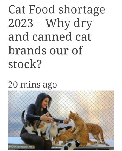 Screenshot_20230128-132846_Chrome