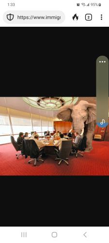 Screenshot_20230103_133348_DuckDuckGo