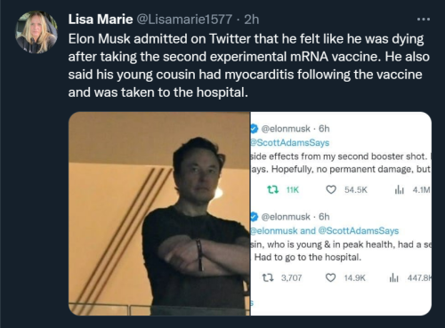 Musk 1