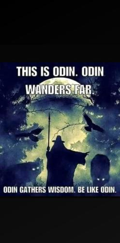 orca-image-1075580695