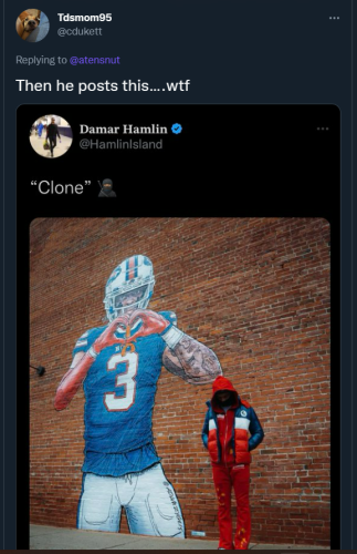 Hamlin 3
