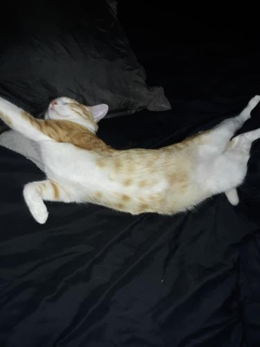 6dfcf67c-ecd8-43e3-8d88-38f79b96ef2c