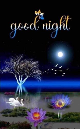 FB_IMG_1675135372788