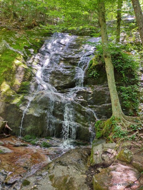 IMG_20210714_130256931_HDR~2