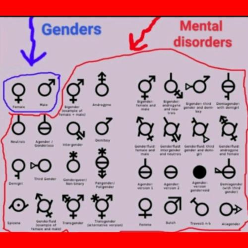 00edf8e4-b1e2-4c6b-b3e5-1b0c2775101b