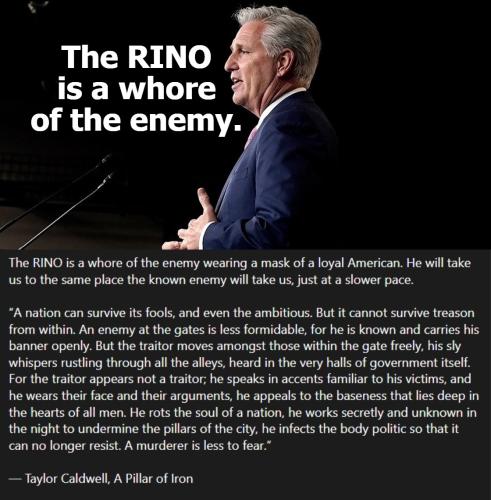The RINO is a whore of the enemy 1120px