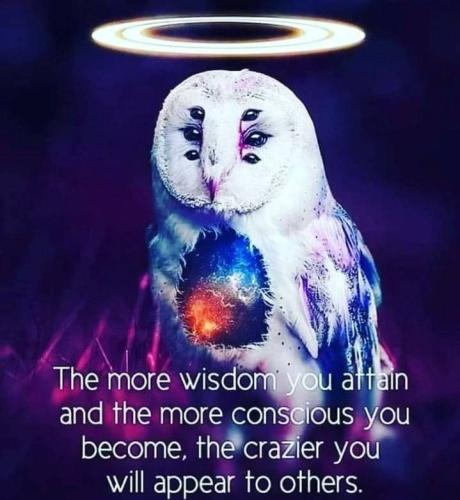 IMG_20230115_191700_516