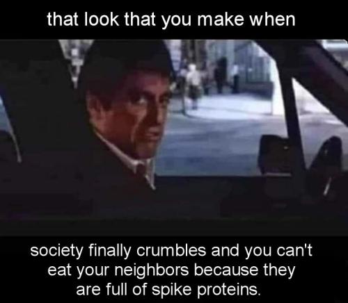 spike proteins