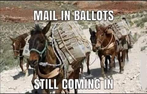 mail in ballots